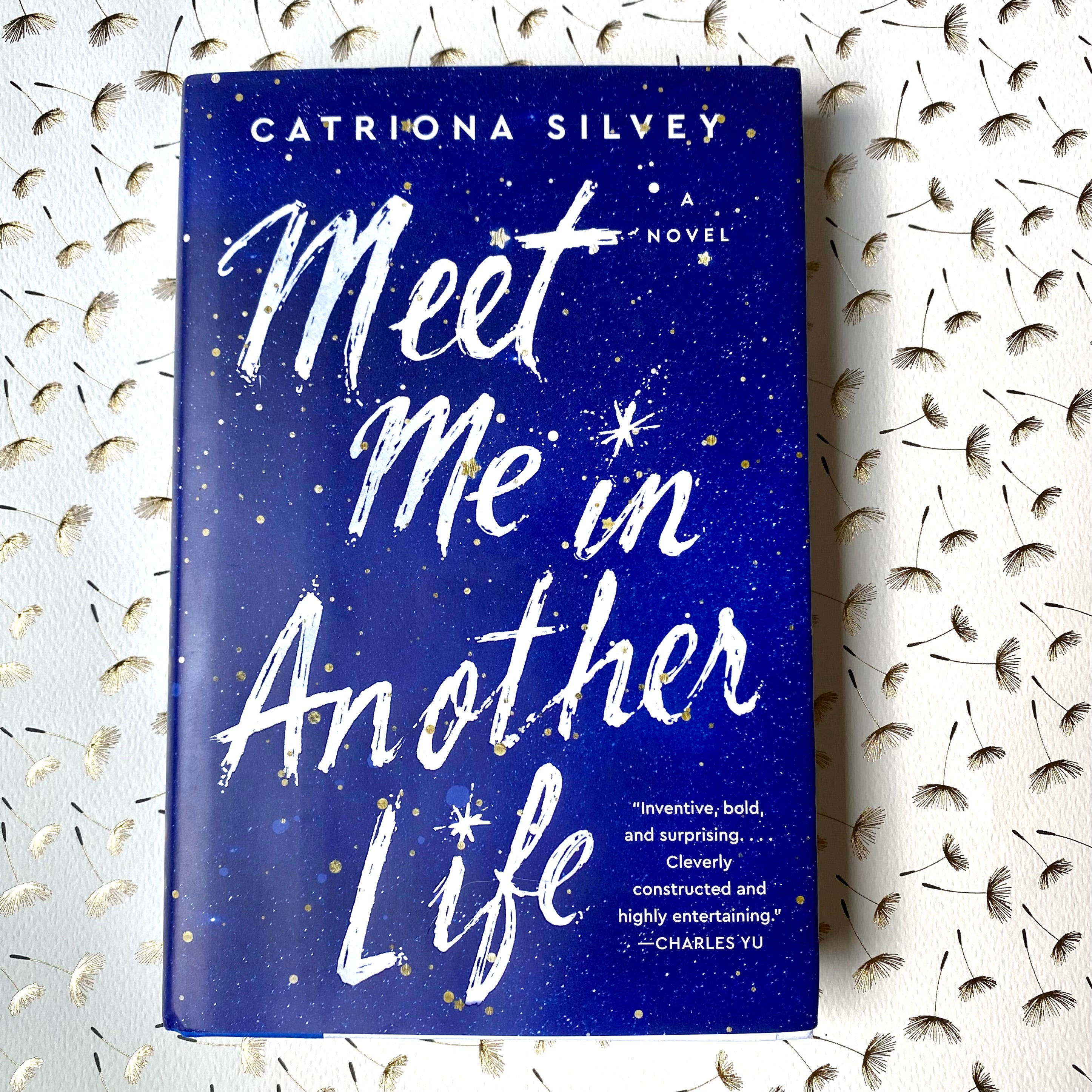 Meet Me in Another Life - Catrina Silvey