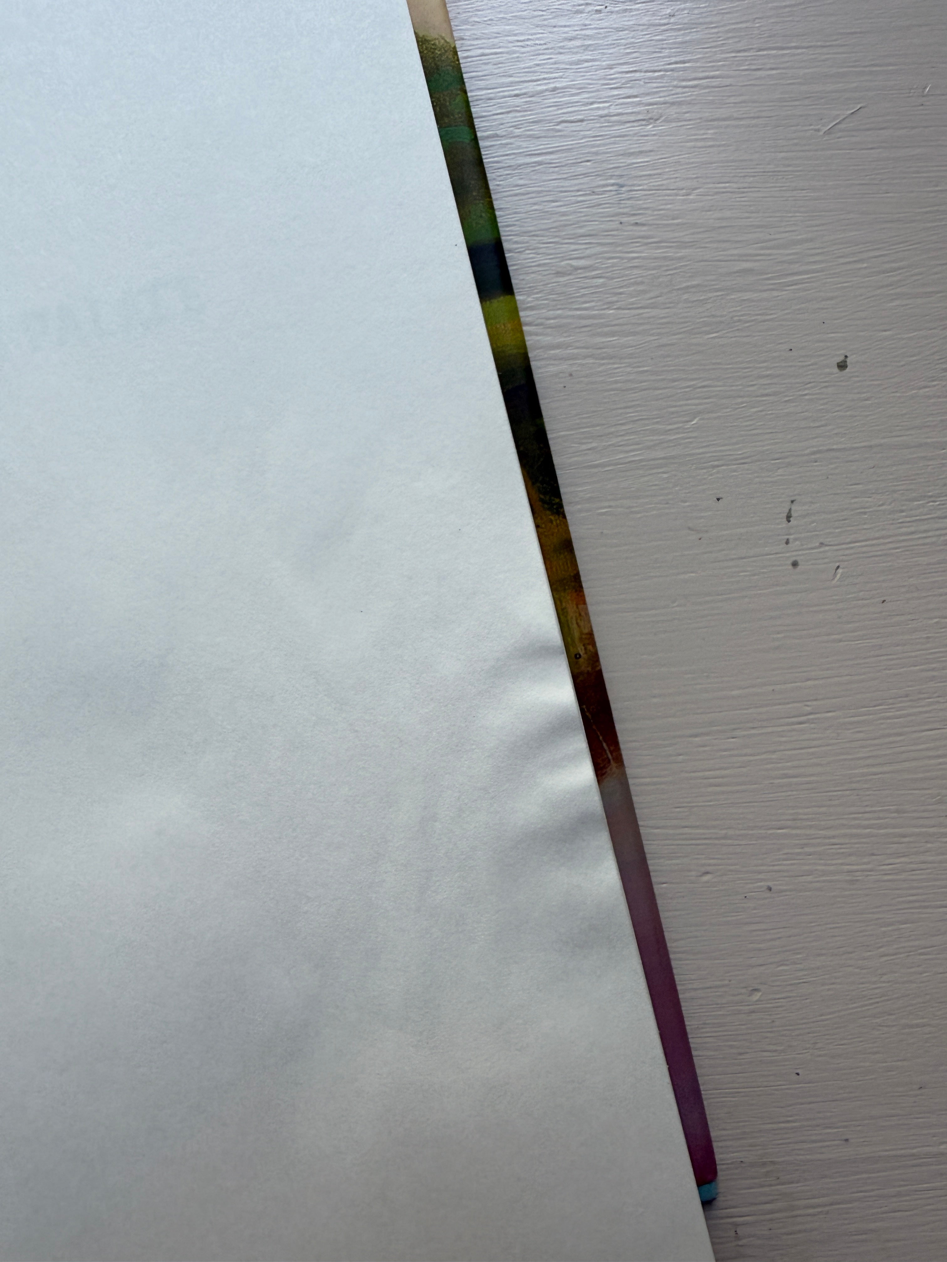 The Paper Palace - Miranda Cowley Heller