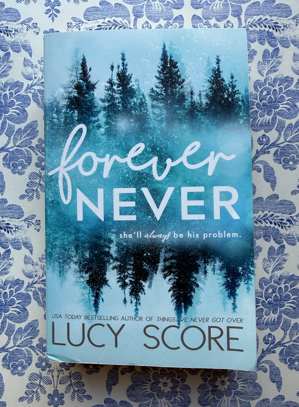 Forever Never - Lucy Score