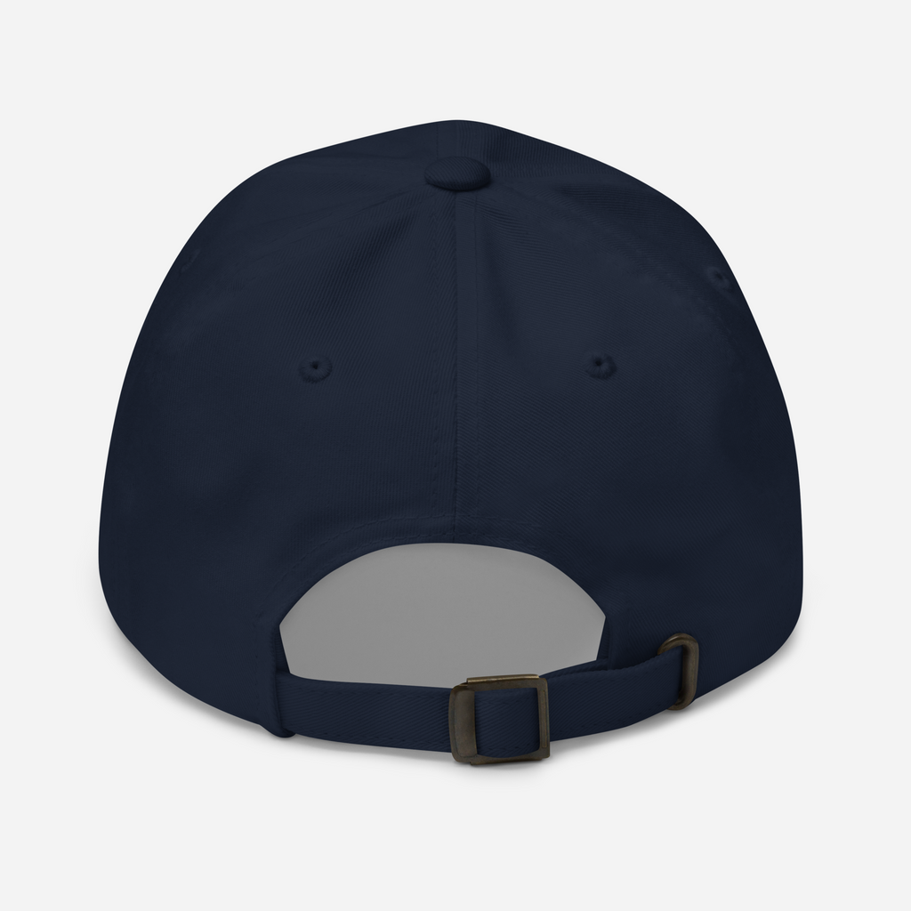BOOKTROVERT Dad hat - Navy/Pink